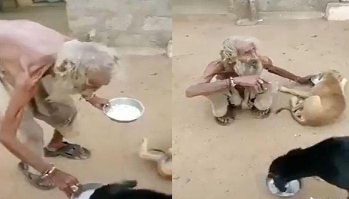 Elderly beggar helps