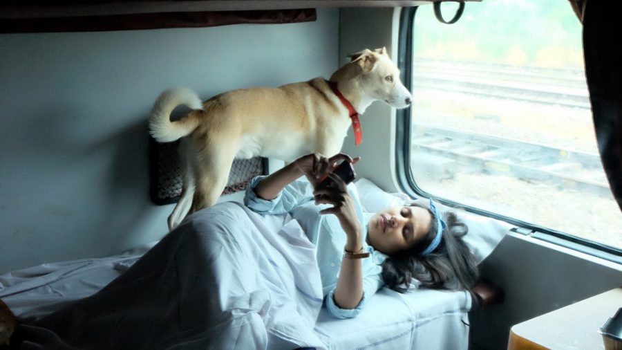 pet in train scaled