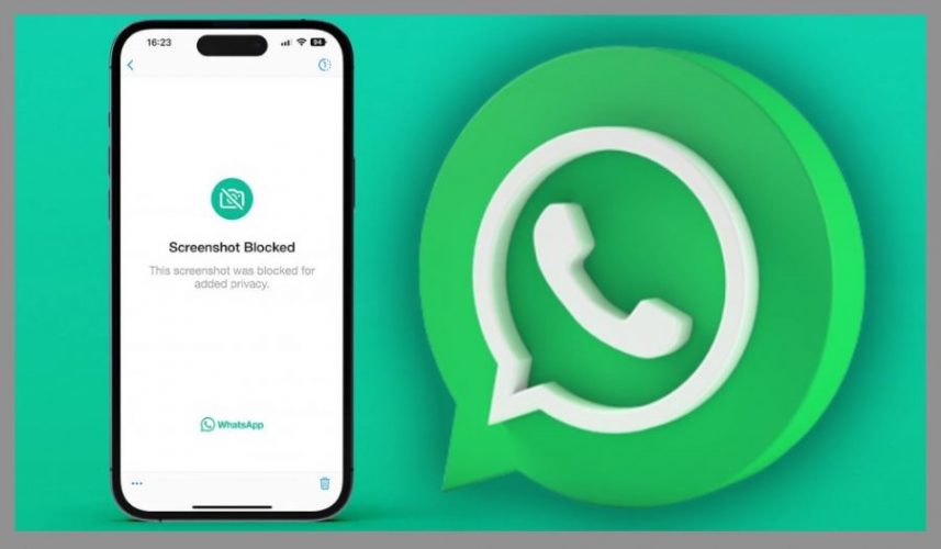WhatsApp screen scaled