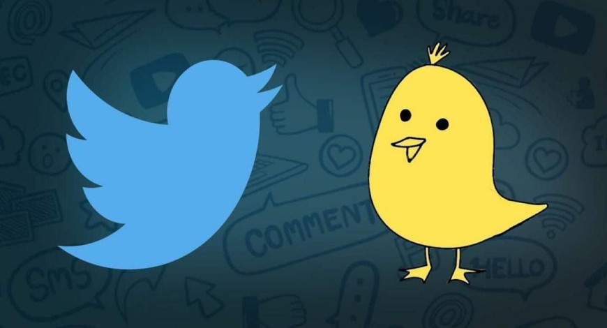 Twitter bans Koo for violating rules