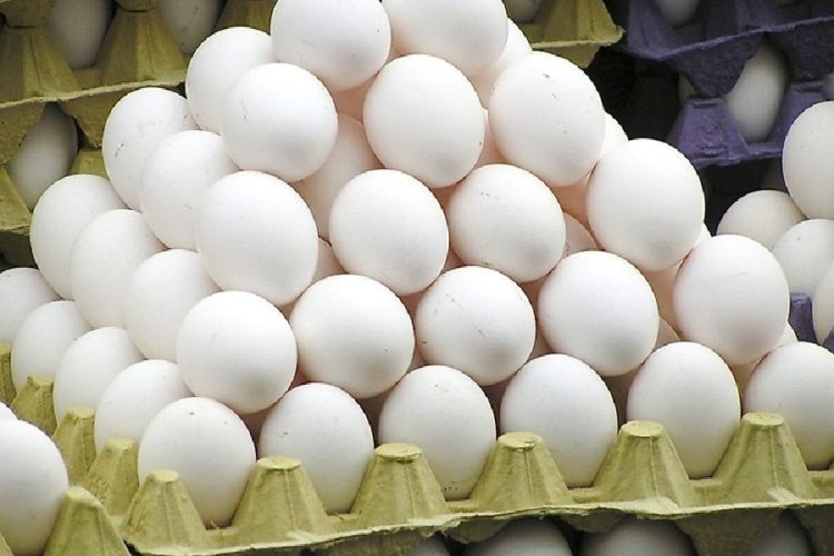 Egg Price