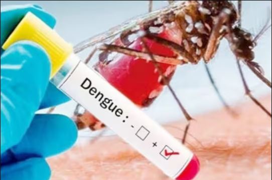 dengue